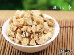 人参和人参的区别